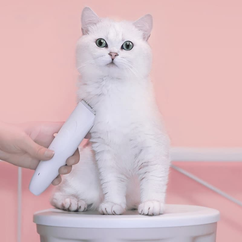 Pawbby Pets USB Rechargable Hair Trimmers Professional Dog/Cat Pet Grooming Electrical Pets Hair Clippers Pets Shaver 5 Pawbby Pets USB Rechargable Hair Trimmers Professional Dog/Cat Pet Grooming Electrical Pets Hair Clippers Pets Shaver 5
