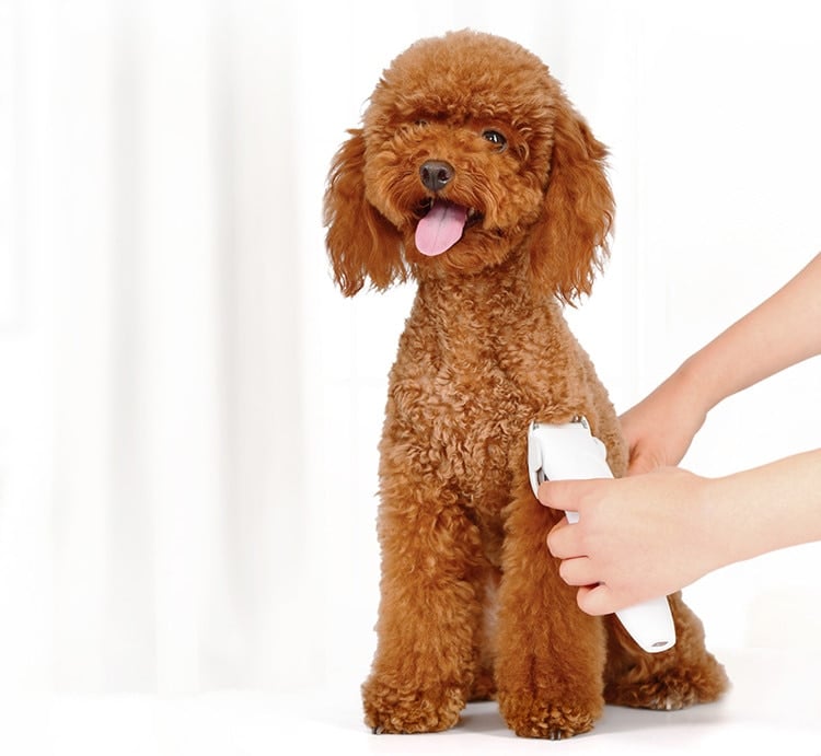 Pawbby Pets USB Rechargable Hair Trimmers Professional Dog/Cat Pet Grooming Electrical Pets Hair Clippers Pets Shaver 6 Pawbby Pets USB Rechargable Hair Trimmers Professional Dog/Cat Pet Grooming Electrical Pets Hair Clippers Pets Shaver 6