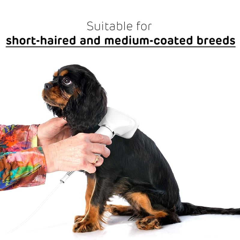 2 In 1 Dog Dryer Hair Blower Slicker Brush Adjustable Temperature Low Noise Fit Short Haired Medium Coated Pet Cats 3 2 In 1 Dog Dryer Hair Blower Slicker Brush Adjustable Temperature Low Noise Fit Short Haired Medium Coated Pet Cats 3