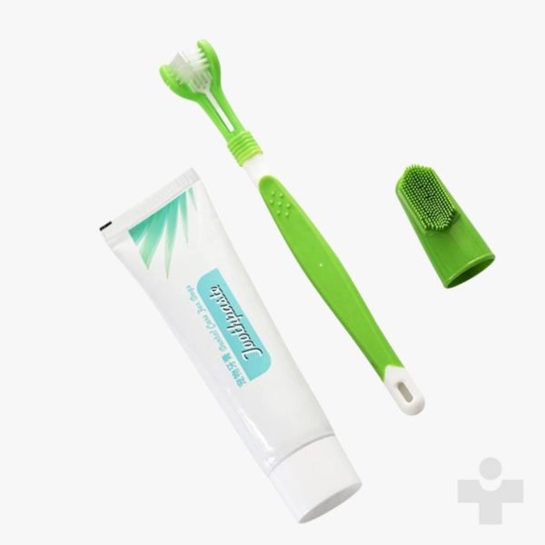 pet-toothbrush-set-hot-puppy-vanilla-beef-taste